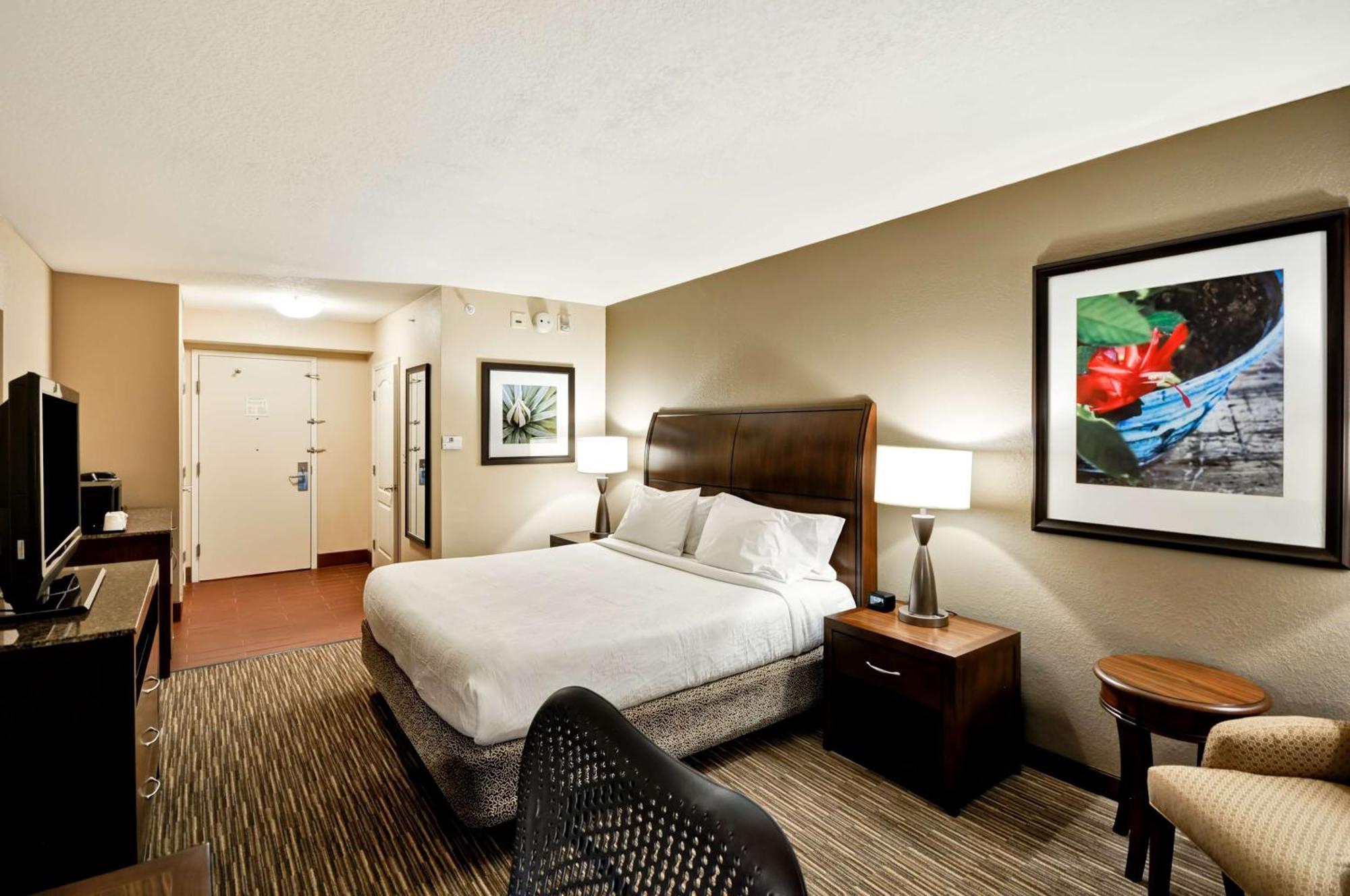 Hilton Garden Inn Tampa North Temple Terrace Eksteriør bilde