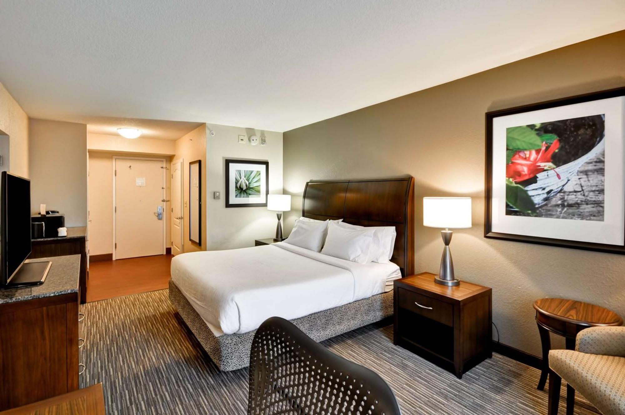 Hilton Garden Inn Tampa North Temple Terrace Eksteriør bilde